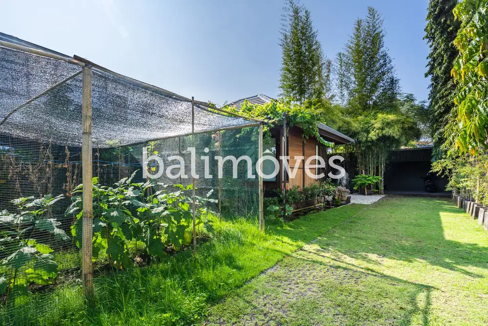 Rumah Kayu Satu Kamar Tidur Di Serangan