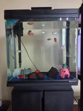 Jual aquarium boyu