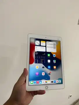 Ipad air 2 2014 16GB WIFI ONLY