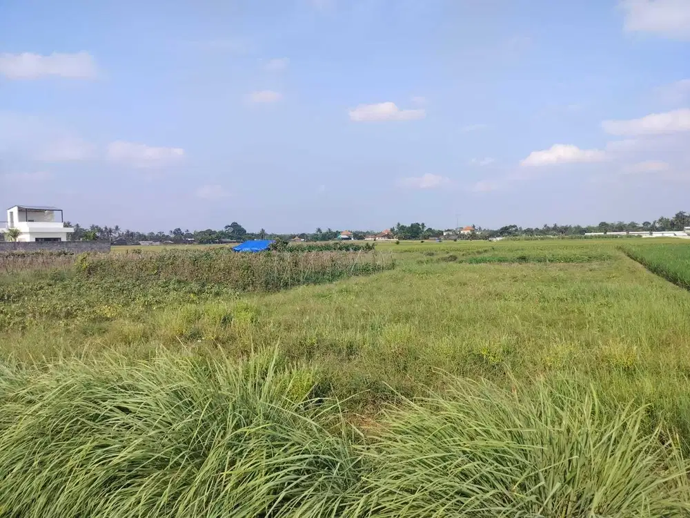 Di jual tanah Lokasi di kelating Kab tabanan