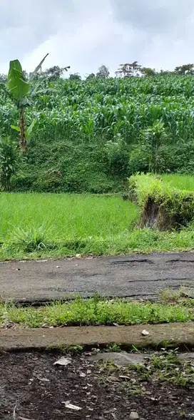 Tanah Luas Termurah  Arjasari ada Jalan aspal Mainroad jual cepat