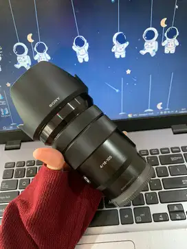 SONY 18-105MM F4 ICL 1704