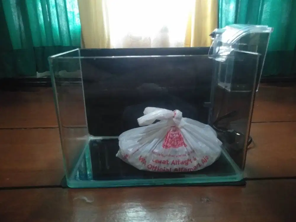 Aquarium minimalis mulus