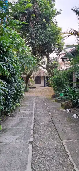 Rumah Kost 38 Kamar Beji UI Depok Jawa Barat