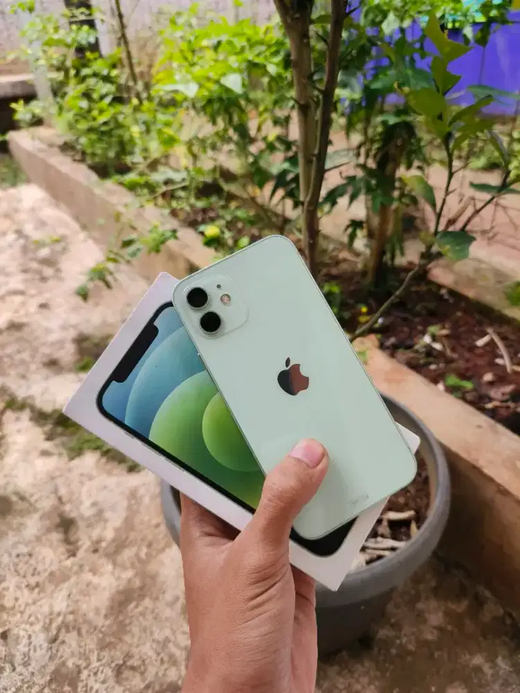 Iphone 12 64 gb resmi ibox