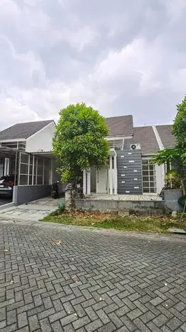 Sewa rumah citraland golf avenue semi furnish surabaya