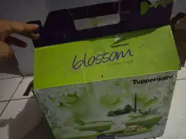 jual tupperware blossom baru