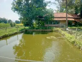 JUAL CEPAT TANAH DAN BALONG MURAH BANJARAN BANDUNG SELATAN