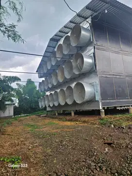 Kandang ayam luas dan aktif di pandaan pasuruan tinggal melanjutkan