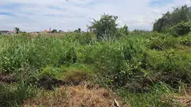 Tanah Industri Maspion Manyar Gresik Murah Strategis Lebar 55 x124 HGB