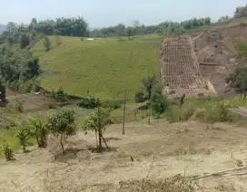 JUAL CEPAT TANAH LAGI BUTUH CIWIDEY BANDUNG SELATAN