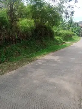 Tanah darat lokasi dago kec.cimeunyan kab bandung