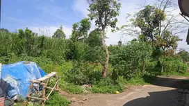 Tanah murah Tirtomoyo Pakis Malang Genitri Dijual cepat B.U dkt Araya