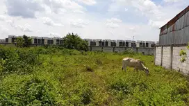 TANAH NEMPEL SUVARNA SUTERA SUDAH SHM