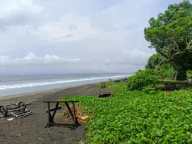 TANAH LOS PANTAI 20 ARE MENDOYO JEMBRANA BALI
