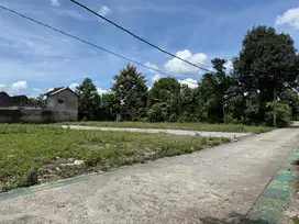 Tanah Jogja, SHM P Siap Akad Notaris Dekat Blok O Sleman