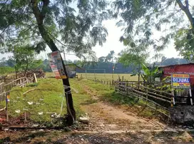Dijual Tanah di Ciapus (area Lugano Citraraya)