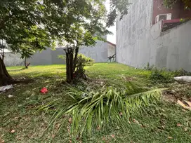 Dijual Murah Kavling Citra Garden 2 Harga Dibawah NJOP Jakarta Barat