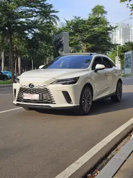 Lexus RX 350 Hybrid
White On Black