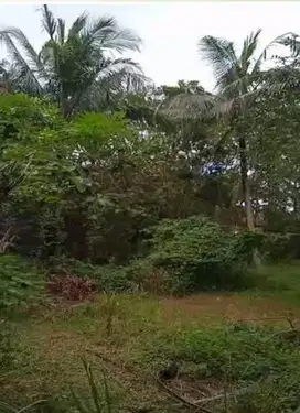 DIJUAL Tanah Strategis di Kulon Progo - Harga TERBAIK & Bersahabat