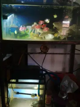Jual aquarium dan rak fulset