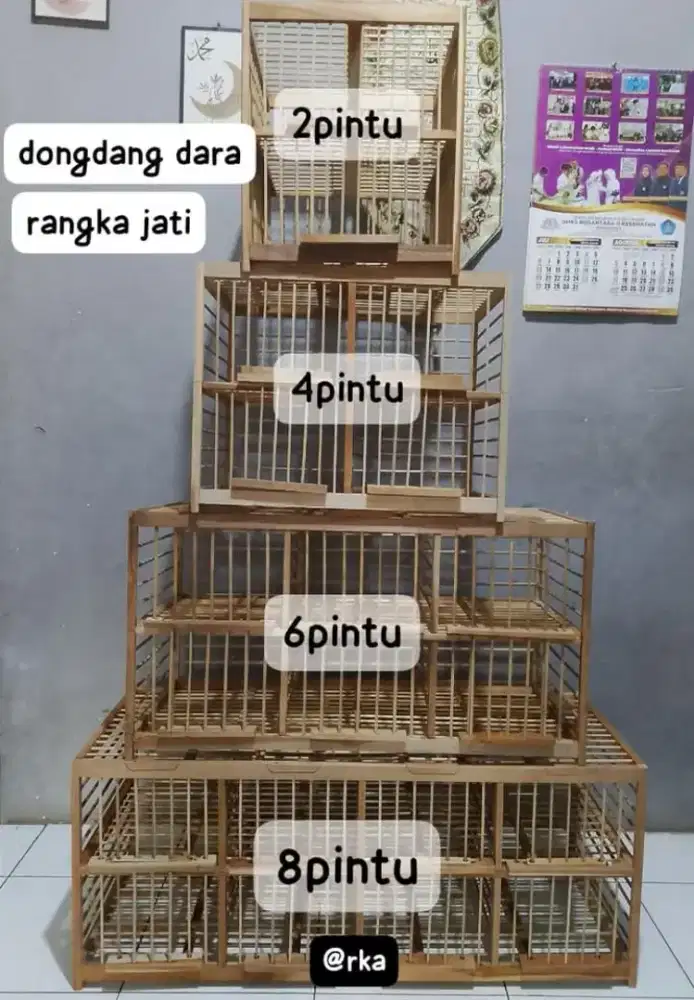 dongdang dara rangka jati