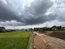 Nogotirto dekat UGM tanah siap bangun rumah 2 lantai view sawah