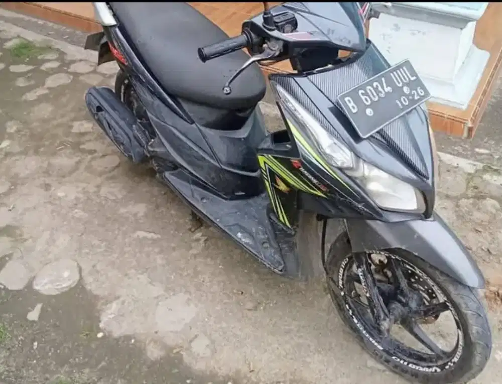 Vario techo  2011