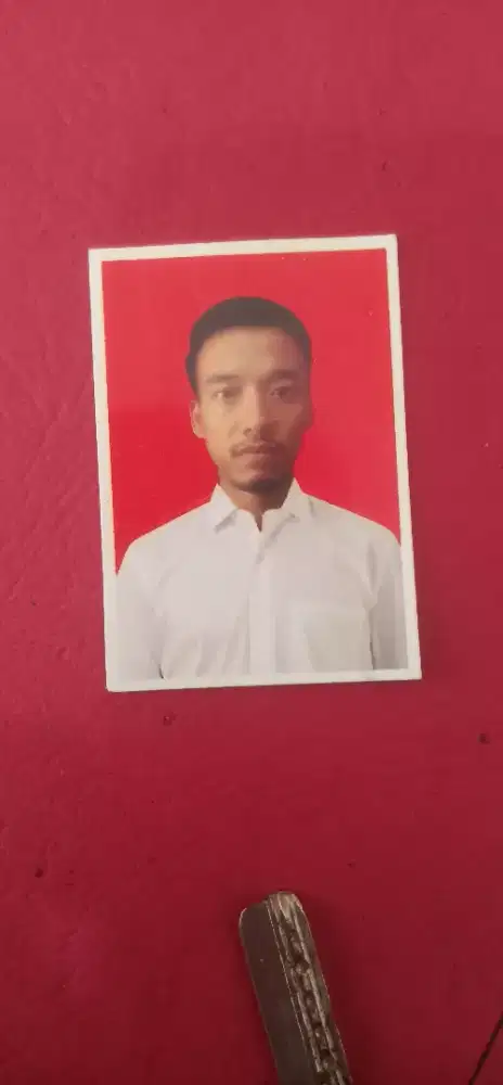 Sedang mencari pekerjaan