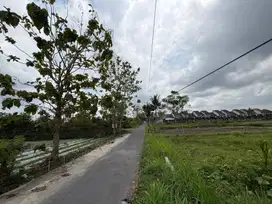 2 jtan Tanah dekat kampus UII siap bangun kost dan Villa Jogja