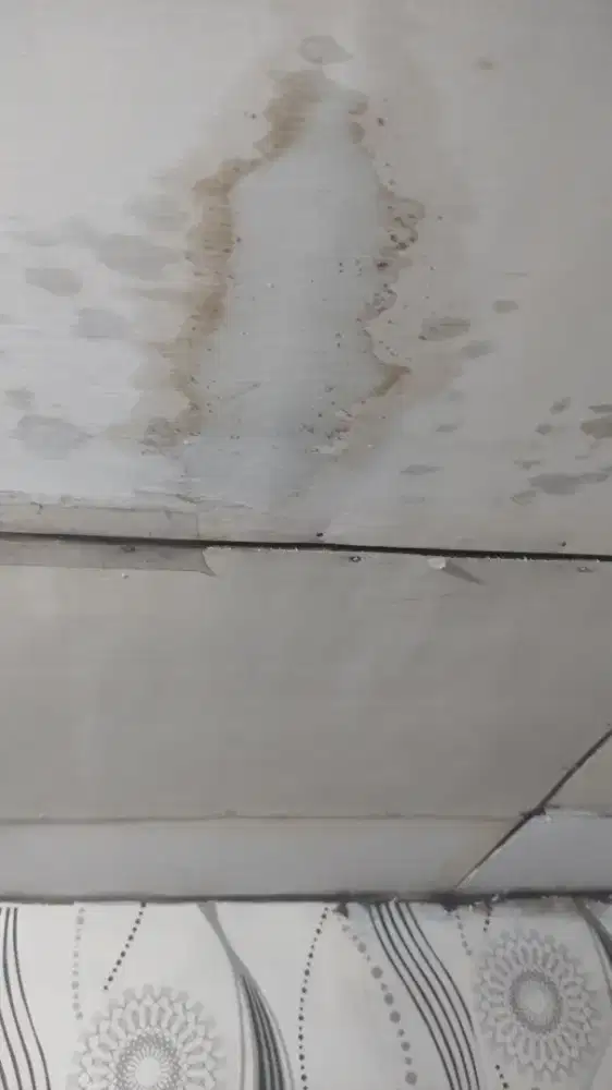 Cari tukang ganti pasang seng