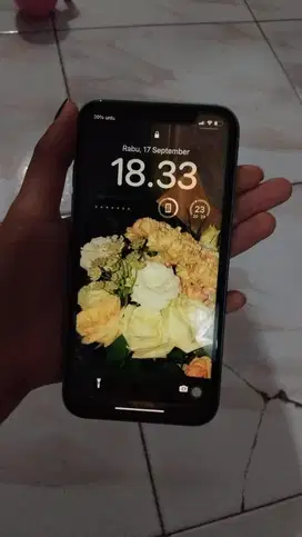 Iphone 11 64Gb Ex inter