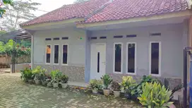 RUMAH LUAS BONUS KEBUN