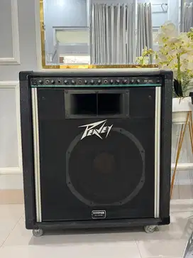 Speaker Peavey KB300