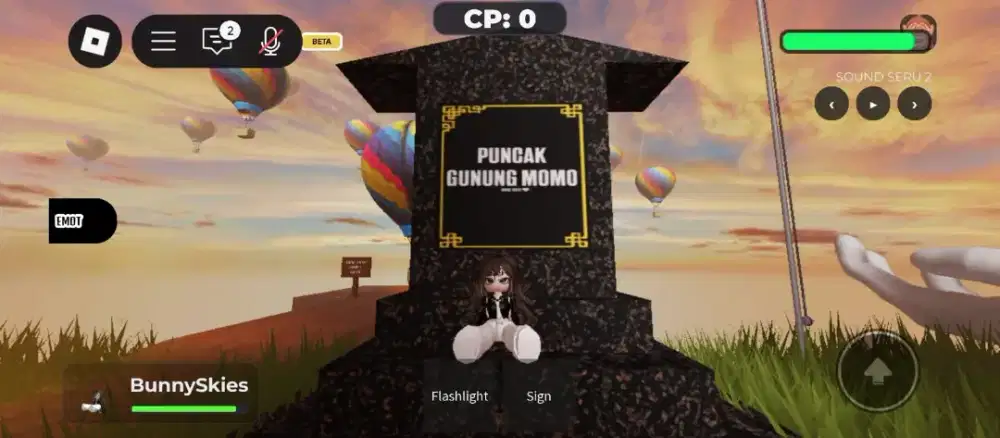 Host Live Streaming