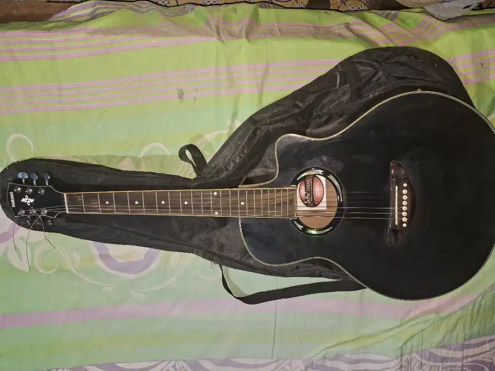 Gitar Yamaha APX-500