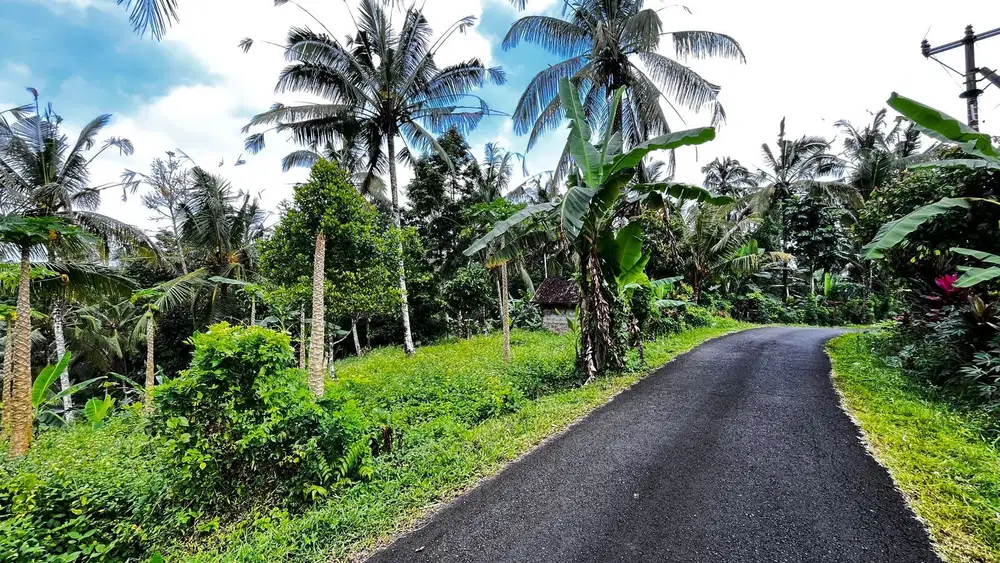 Di jual tanah kebun dekat pantai murah di tabanan bali.