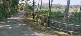 Tanah Sawah Bagus Murah di Temon Kulonprogo TS 006