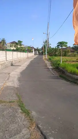 Tanah Sawah Istimewa Strategis di  Gamping Sleman Yogyakarta TS 088