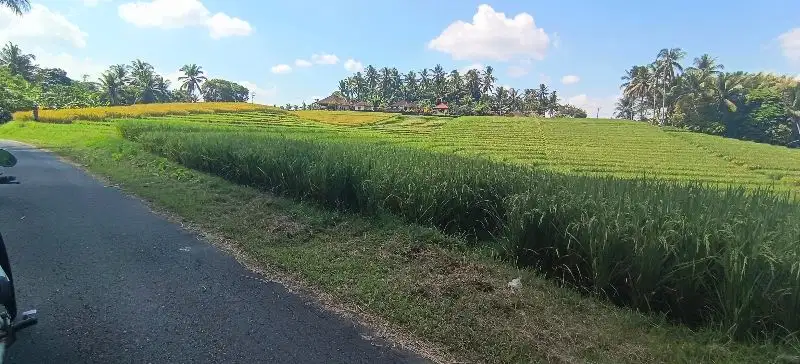 tawah sawah view bagus dekat pantai.