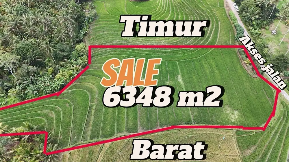 Jual tanah sawah produktif letak strategis di tabanan bali