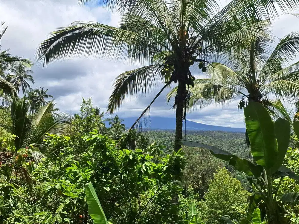 Jual tanah kebun view laut cantik di tabanan bali