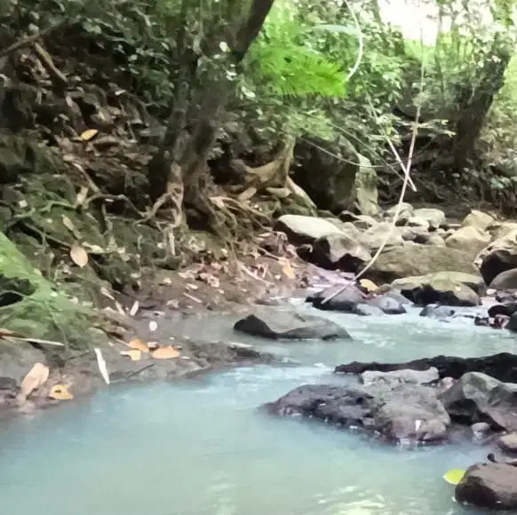 tanah kebun los sungai harga murah di tabanan bali