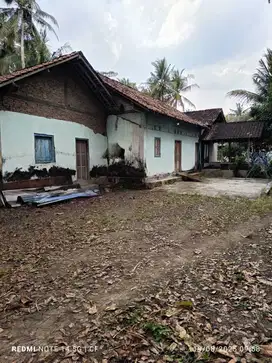 Tanah Pekarangan Bonus Rumah di Temon Kulonprogo TP 079