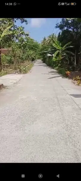 JUAL TANAH DEKAT BALAIDESA TEMON KULON KULONPROGO