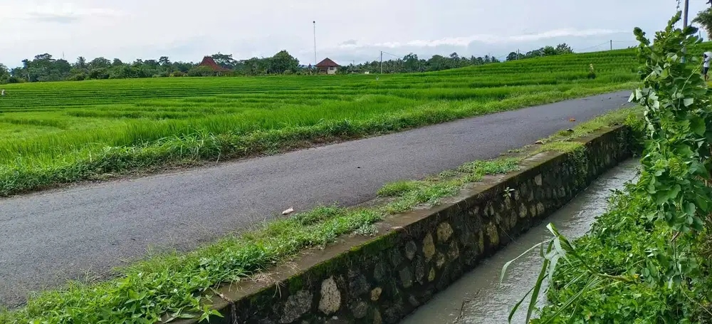 Dijual Tanah Dekat Pantai View Sawah Gunung Dan Sungai Di Tabanan Bali