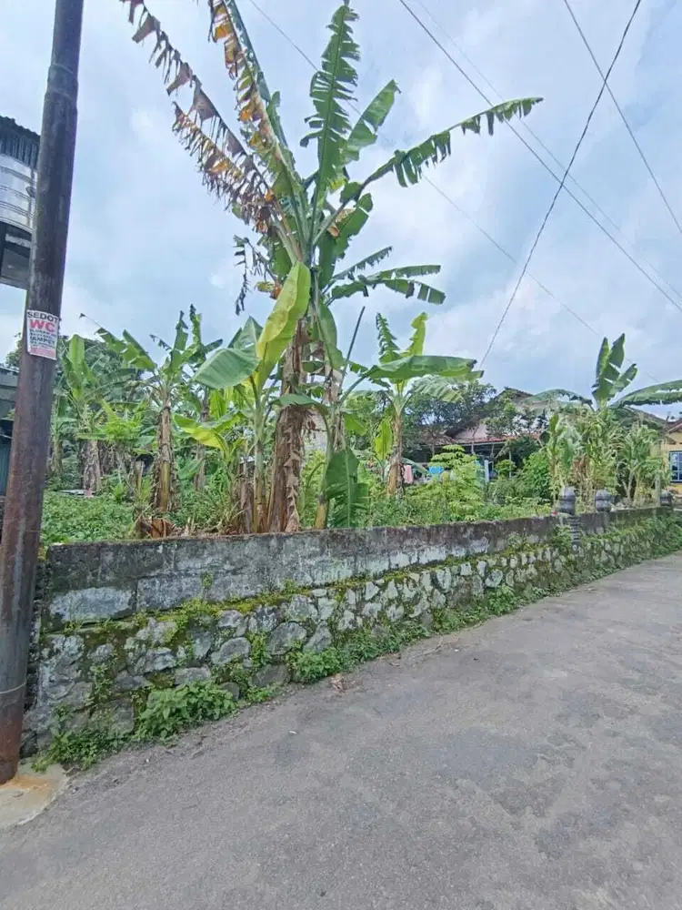 Tanah Asri Di jl. Kaliurang km 15 Dekat Kampus UII, Kopi Rolas