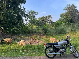 Jual motor rx 100