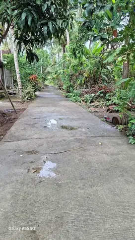 JUAL TANAH DI SOGAN WATES KULONPROGO