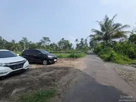 5 Menit Kampus UII; Dijual Tanah Murah Jogja Di Candibinganun Sleman